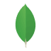 MongoDB_image